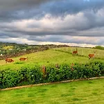 Hawkrigg Farm