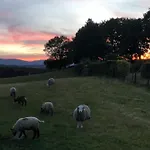 Hawkrigg Farm