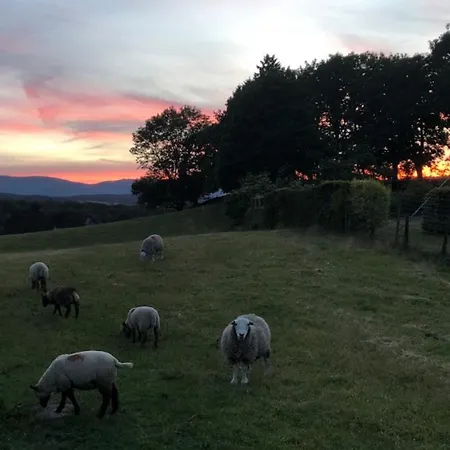 Hawkrigg Farm